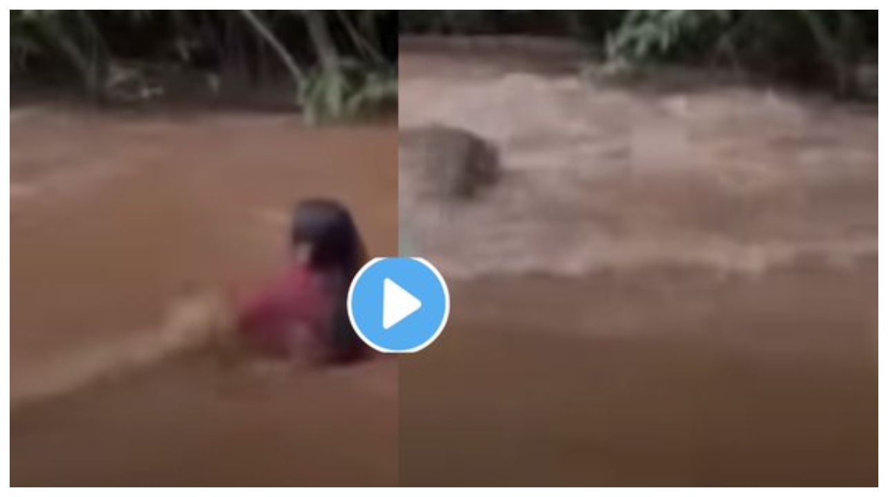 பாம்பா.. இல்ல திமிங்கலமா?… ஆற்றில் மக்கள் குளித்த போது மரத்திலிருந்து விழுந்த ‘பயங்கரம்… அலறியடித்து ஓடிய பெண்கள்… இணையத்தை உலுக்கும் வீடியோ..!!!