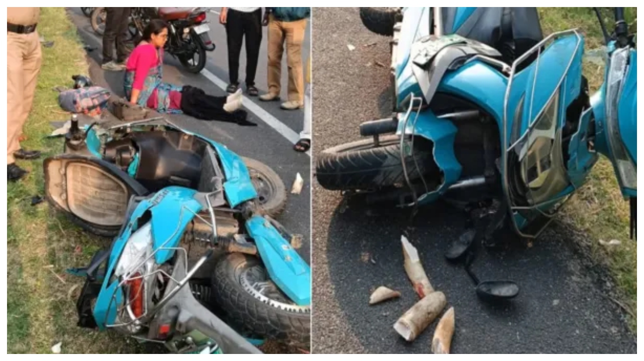 “ஸ்கூட்டியில் சென்ற பெண்ணுக்கு நேர்ந்த விபரீதம்”… குறுக்கே வந்த யானை மீது மோதி தந்தம் உடைந்த அதிர்ச்சி சம்பவம்… வைரலாகும் வீடியோ..!!!