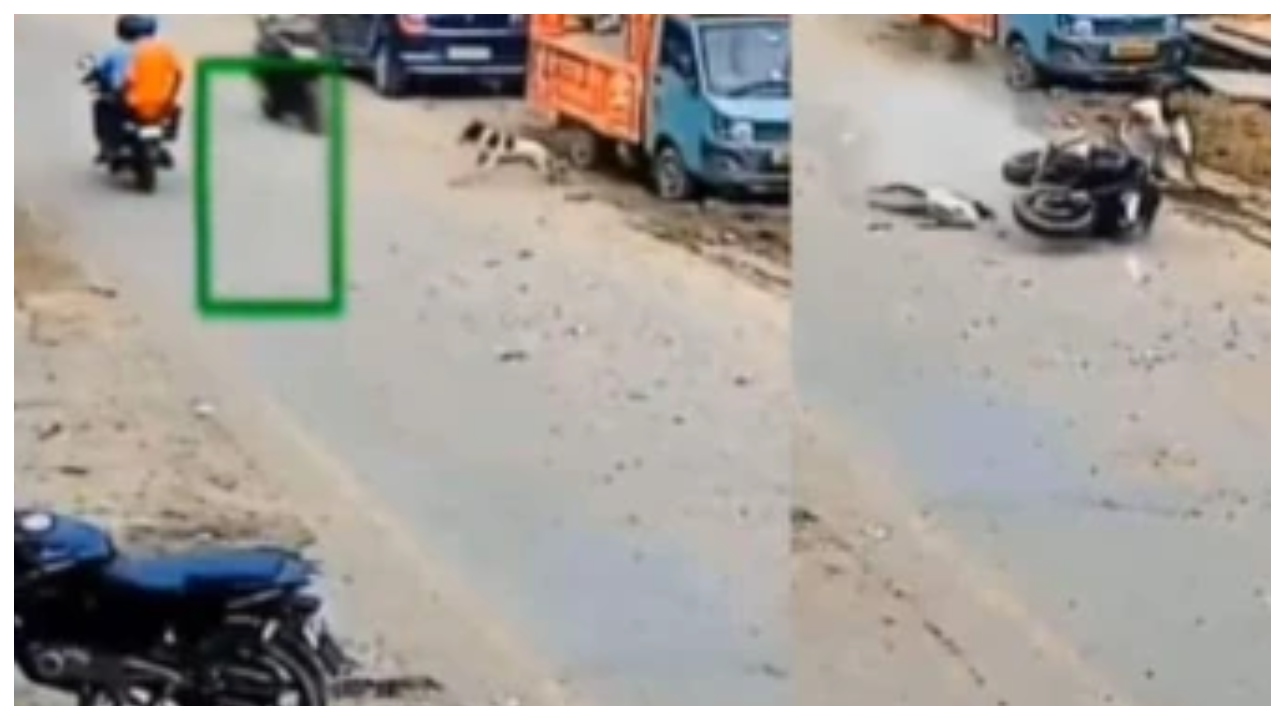அதிர்ச்சி வீடியோ! அதிவேகமாக வந்த பைக் மீது குறுக்கே பாய்ந்த நாய்… நிமிடத்தில் நடந்த விபரீதம்… அடுத்த நொடி என்னவானது…?