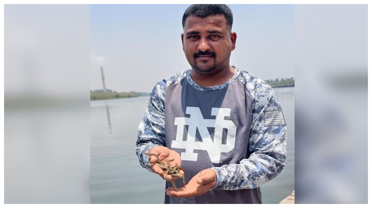 தொட்டிக்குள் இருந்தது 1, 2 அல்ல, மொத்தம் 11 பாம்புகள்… ஒவ்வொன்றாக வெளியே வந்தபோது அலறிய குடும்பம்… வைரலாகும்  திக் திக் நிமிடங்கள்..!!!