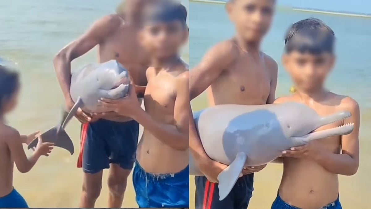 “அறிவு இருக்கா இல்லையா?” – பாவம் மூச்சு விட முடியாமல் துடித்த டால்பின்.. போட்டோவுக்காக அநாகரீகமாக நடந்துகொண்ட மக்கள்.. பகீர் வீடியோ..!!”