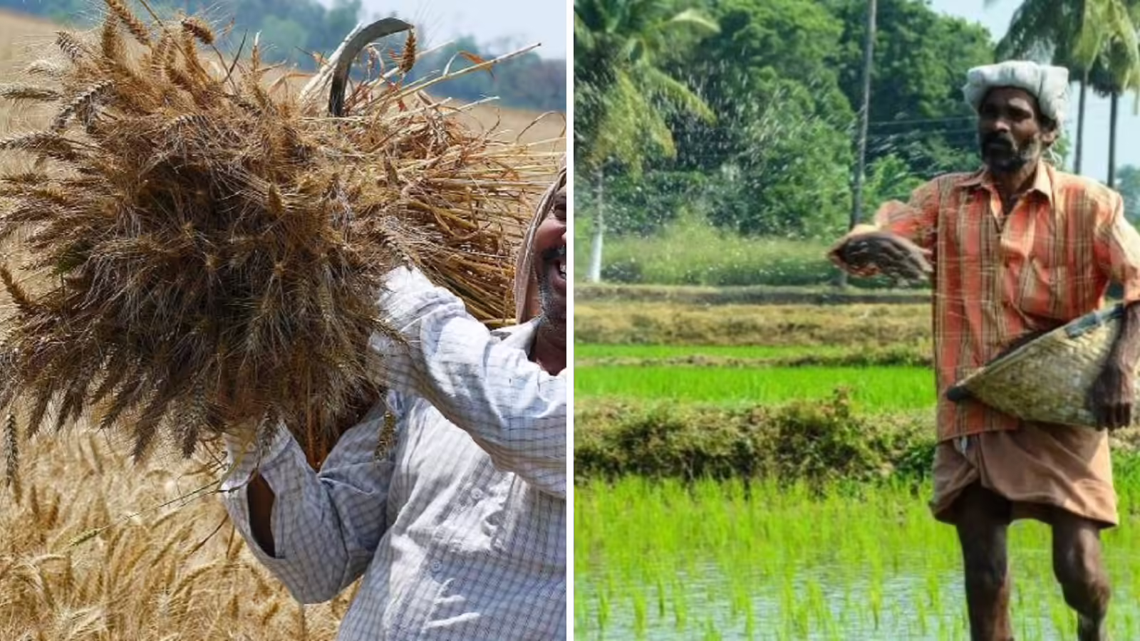“வியர்வை சிந்தி உழைச்ச விவசாயிகளிடம் இப்படியா பண்ணுவீங்க? – இடைத்தரகர்களின் கொட்டத்தை அடக்கக் களம் இறங்கிய ஐகோர்ட்!  நீதிபதி கொடுத்த 2 வார கெடு..!!