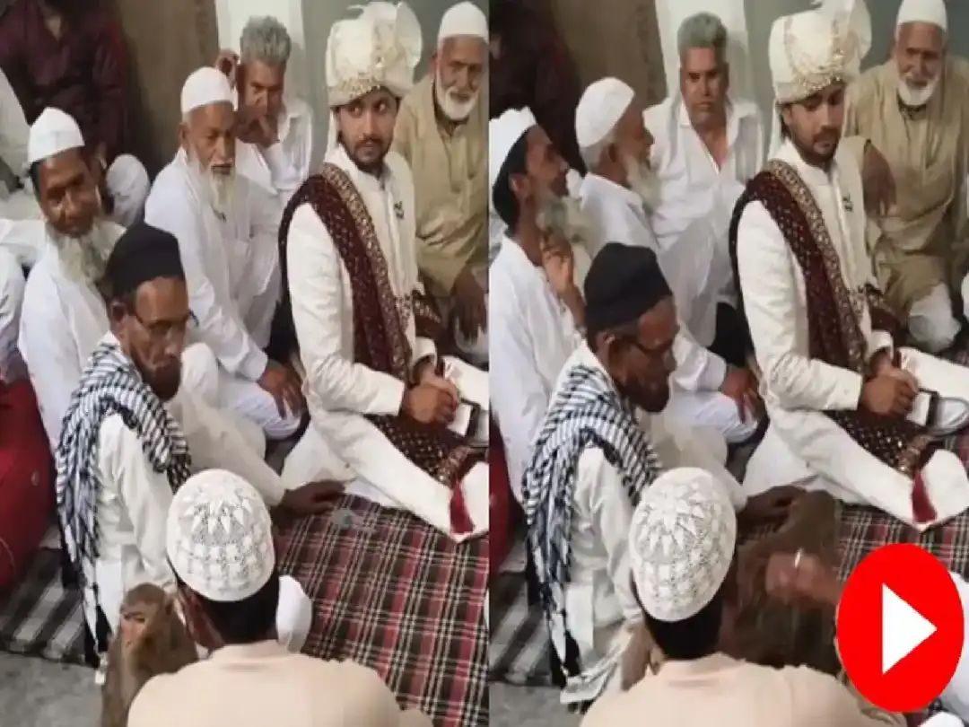 “கல்யாண மண்டபத்துல திடீர்னு வந்த ‘கெஸ்ட்’.. மேடையில மாப்பிள்ளை பக்கத்துல வந்து உட்கார்ந்த குரங்கு.. அவர் முகத்துல இருந்த அந்த மரண பயம் தான் ஹைலைட்.. வீடியோ பார்த்தா சிரிப்ப நிறுத்த முடியாது..!!