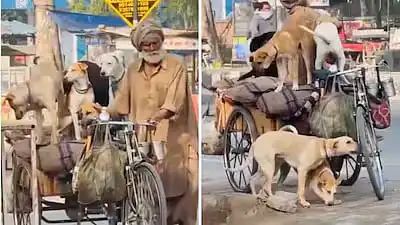 “சொத்து எதுவும் இல்ல.. ஆனா சுத்தி நாலு சொந்தம் இருக்கு!” – ரிக்‌ஷாவில் நாய்களுடன் வலம் வரும் முதியவர்.. வைரலாகும் நெகிழ்ச்சி வீடியோ..!!