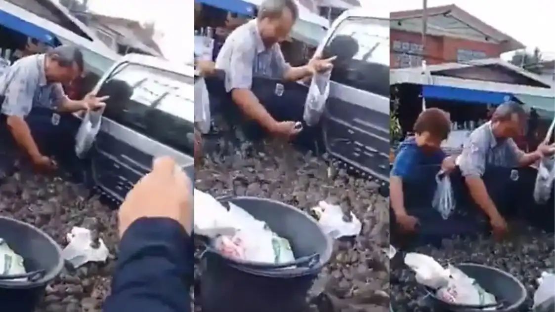 “கூடை கூடையாக விற்கப்படும் உயிருள்ள எலிகள்..! “இதை வாங்குறதுக்கு இப்படி ஒரு கூட்டமா..?”  பின்னணியில் இருக்கும் ‘அந்த’ அதிர்ச்சி காரணம்.. வைரலாகும்   விசித்திர சந்தை வீடியோ..!!”