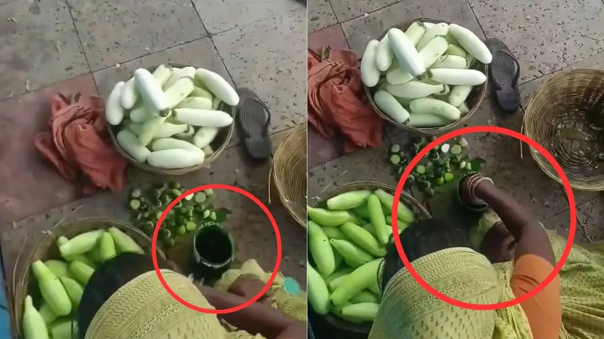 “அப்போ இவ்வளவு நாள் வாங்கி சாப்பிட்டது விஷமா?” வெள்ளரிக்காய்க்கு பெயிண்ட் அடிக்கும் பகீர் வீடியோ…. இனியாவது உஷாரா இருங்க….!!