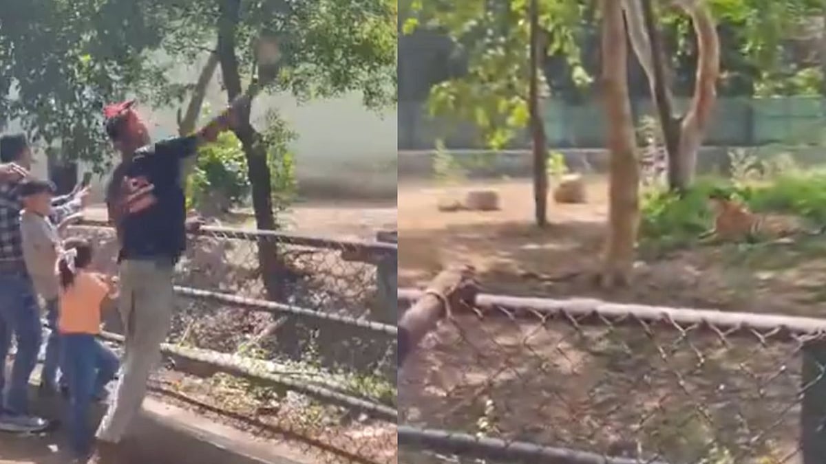 “இவங்களைத்தான் கூண்டுக்குள் அடைக்கணும்!” புலியைத் துன்புறுத்திய பார்வையாளர்கள்.. உயிரியல்பூங்காவில் நடந்த கொடூரம்.. அதிர்ச்சி வீடியோ..!!”