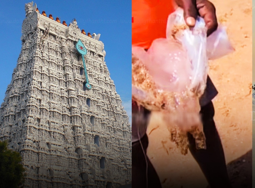“திருச்செந்தூர் கடலில் ஆபத்து!”… கரை ஒதுங்கிய ஜெல்லி மீன்கள்.. கடலில் குளிக்கும் பக்தர்களுக்கு அவசர எச்சரிக்கை..!!!