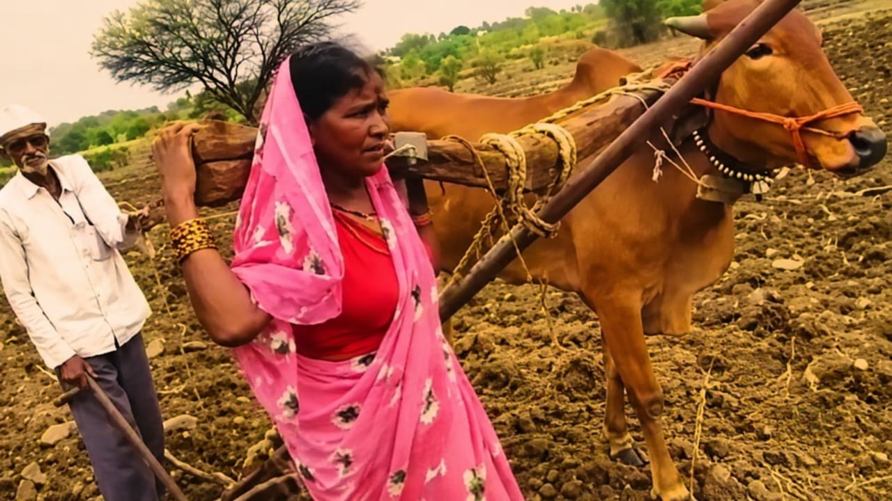 நெஞ்சே வெடிச்சிடும் போல..! மாடாக மாறிய மூதாட்டி… சோறு போடும்  ஏழை விவசாயியின் கண்ணீர்… வீடியோவை வெளியிட்ட எம்எல்ஏ… இதயத்தை உடைத்த கொடுமை…!!!
