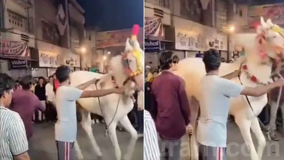​”மனுஷனா நீ…. வாயில்லா ஜீவனை இப்படியா அடிப்ப?” குதிரையை கொடூரமாக தாக்கிய நபர்…. வைரலாகும் அதிர்ச்சி வீடியோ….!!