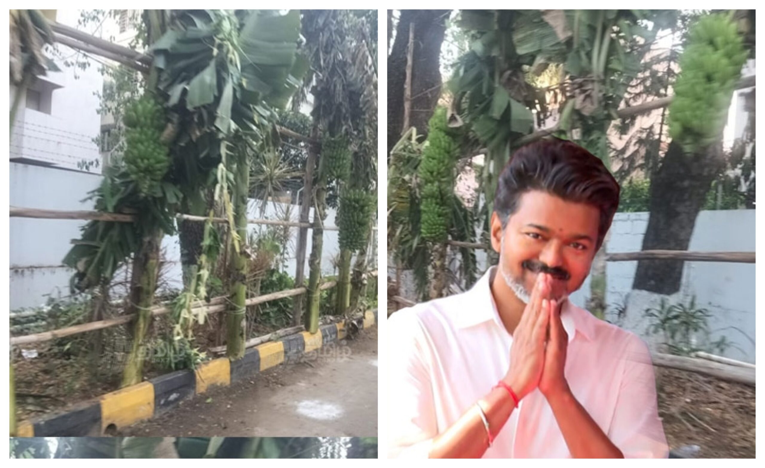 “மாநாட்டுக்கு வந்தும் ஒரு வாழைக்குலையைக் கூட தொடல!”… தவெக தொண்டர்கள் செய்த நெகிழ்ச்சி காரியம்… திருச்சியில் அரங்கேறிய எதார்த்தமான சுவாரஸ்யம்..!!!!