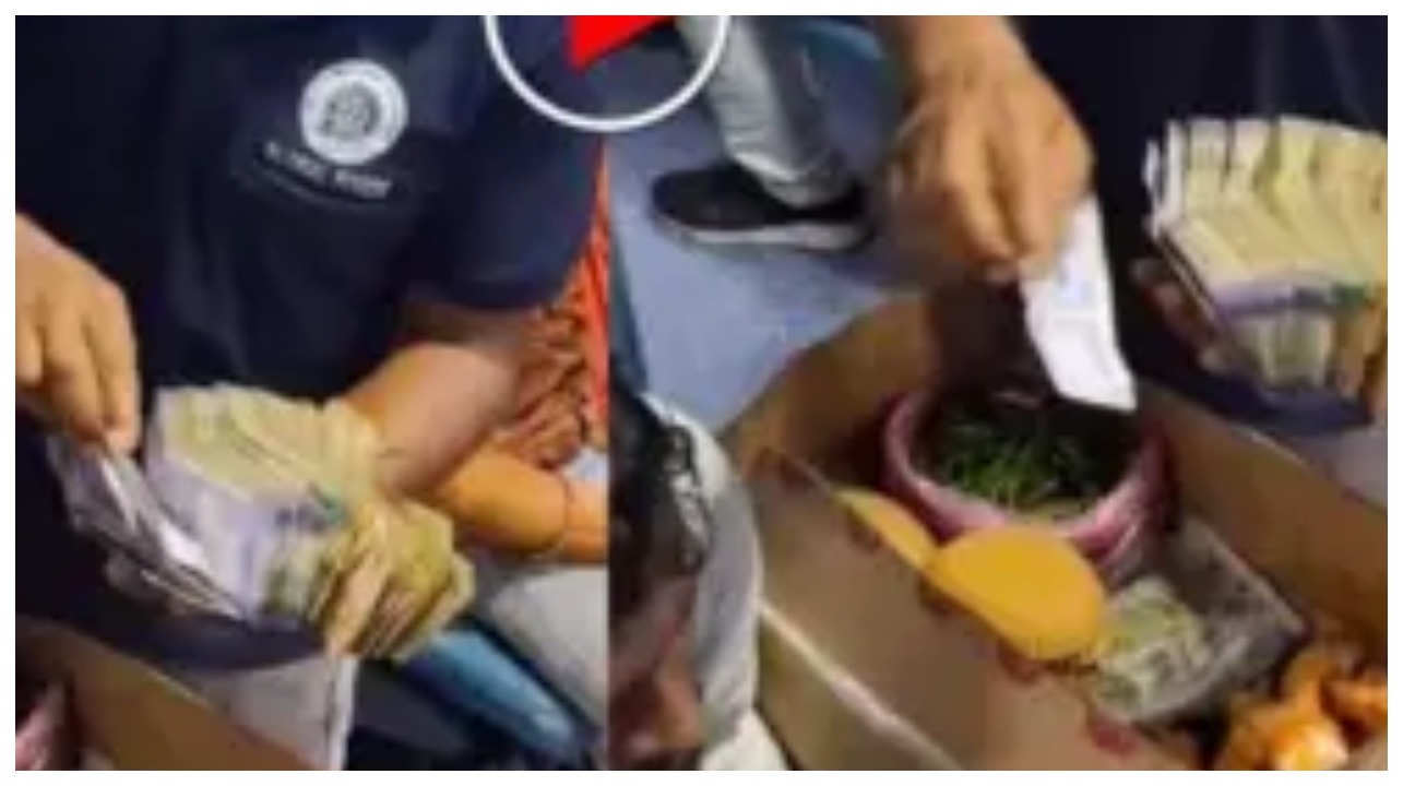 “டேய் தம்பி சீக்கிரம் ஓடி ஒளிஞ்சிரு”… ரயிலில் வடை விற்றவரிடம் குவிந்த பண மலை.. ED, IT ரெய்டு வரும் என அலறும் நெட்டிசன்கள்.. இணையத்தை உலுக்கும் வீடியோ..!!!