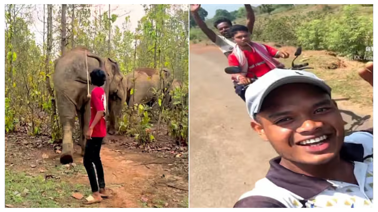 “மரணம் மிக அருகில்! வெறும் லைக்ஸ்காக காட்டு யானையிடம் கைவரிசை காட்டிய இளைஞர்கள்”… நெட்டிசன்கள் கடும் கொந்தளிப்பு.. வைரலாகும் ஷாக் வீடியோ..!!