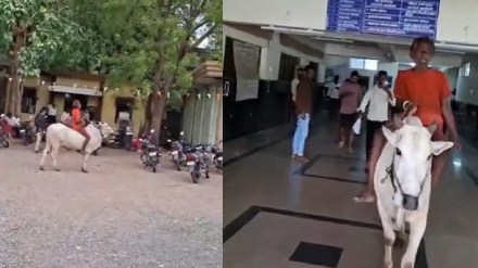 “மழை இல்ல.. பயிர் இல்ல.. நாங்க எப்படி கடனை கட்டுவோம்..?” காளையின் மேல் ஏறி தாலுகா ஆபீசுக்குள் புகுந்த விவசாயி.. மிரண்டு போன அதிகாரிகள்.. அரசுக்கு விடுத்துள்ள அவசரக் கோரிக்கை..!!