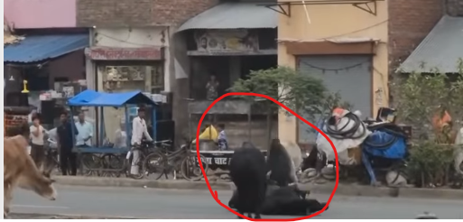 “அதுக்கு பேய் பிடிச்சிருக்கா.. இல்ல நோயா?” – நடுரோட்டில் வாகனங்களை மிரள வைத்த மாடுகள்…. இணையத்தில் வைரலாகும் வீடியோ…!!