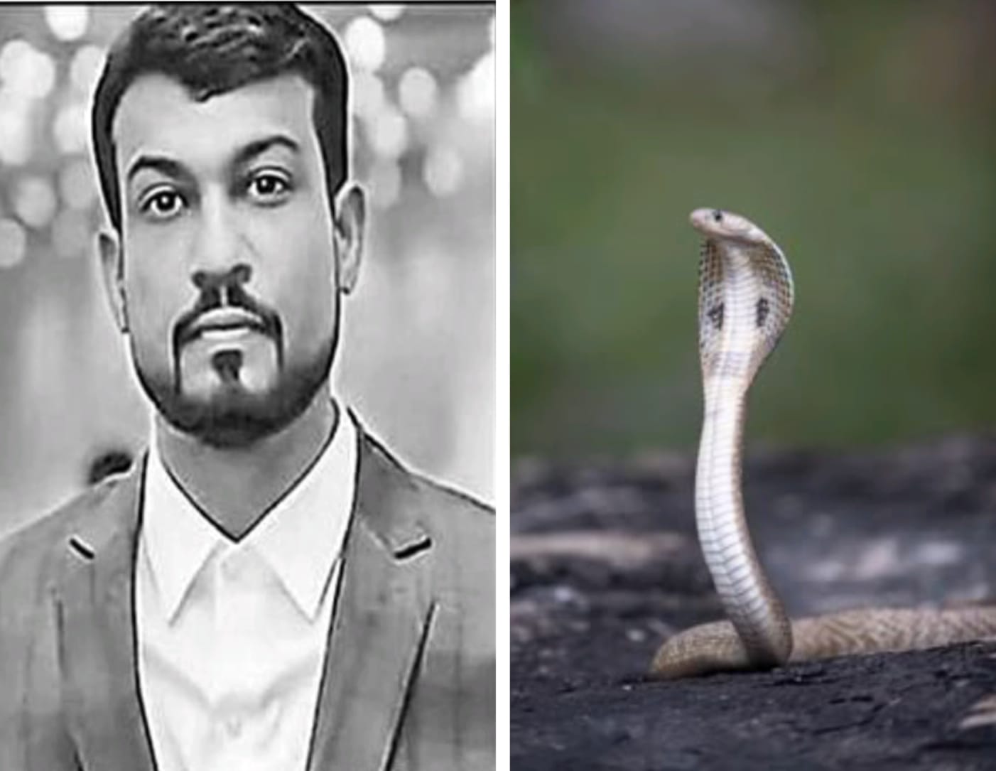 ஐயோ..! நெஞ்சை பதறுது..! பாம்பை கையில் பிடித்து ஜாலியாக விளையாடிய தொழிலதிபர்.. அடுத்து நடந்த பயங்கரம்… பரிதவிப்பில் மனைவி குழந்தைகள்..!