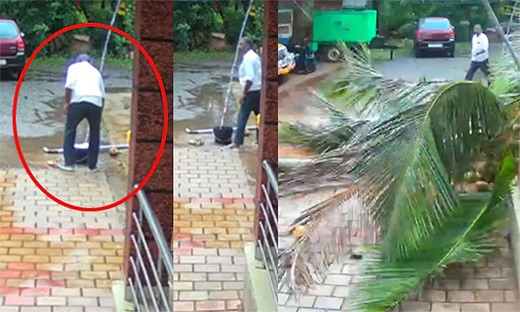 தண்ணீர் பிடித்த கேப்பில் சட்டுனு முறிந்து விழுந்த தென்னை மரம்… ஜஸ்ட் மிஸ்ஸில் உயிர் தப்பிய நபர்… காற்றா இல்ல பலவீனமா… பதற வைக்கும் காணொளி..!!