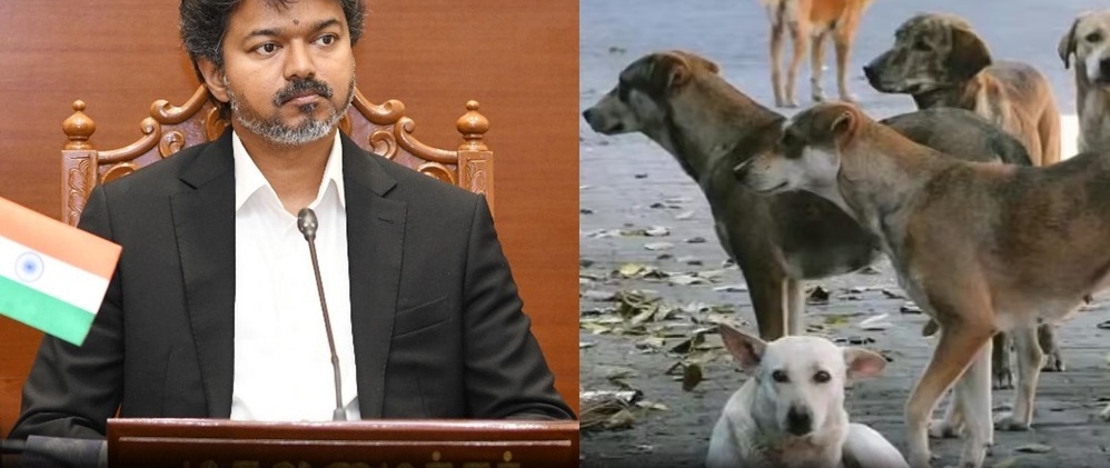 “வெறிநாய்க்கடியால் ஒரு உயிர் கூட போகக் கூடாது!”… முதல்வர் விஜய் போட்ட அதிரடி உத்தரவு.. தெருநாய்கள் தொல்லைக்கு முற்றுப்புள்ளி வைக்க மாஸ் பிளான்..!!!