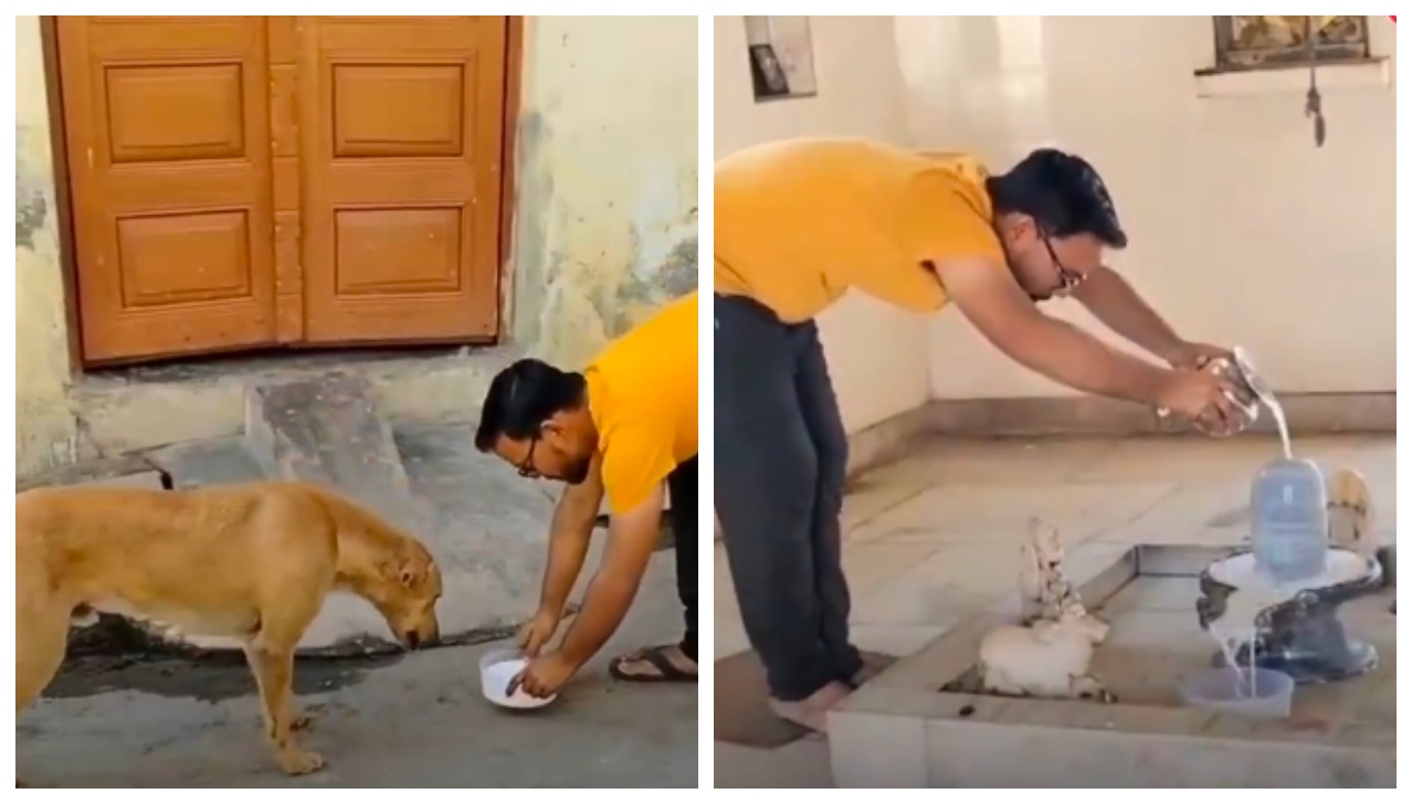“உண்மையான ஆன்மீகம் இதுதான்!”.. வாயில்லா ஜீவனின் பசியை ஆற்றிய பாலாபிஷேகம்.. இணையவாசிகளின் இதயங்களை வென்ற நெகிழ்ச்சி வீடியோ..!!