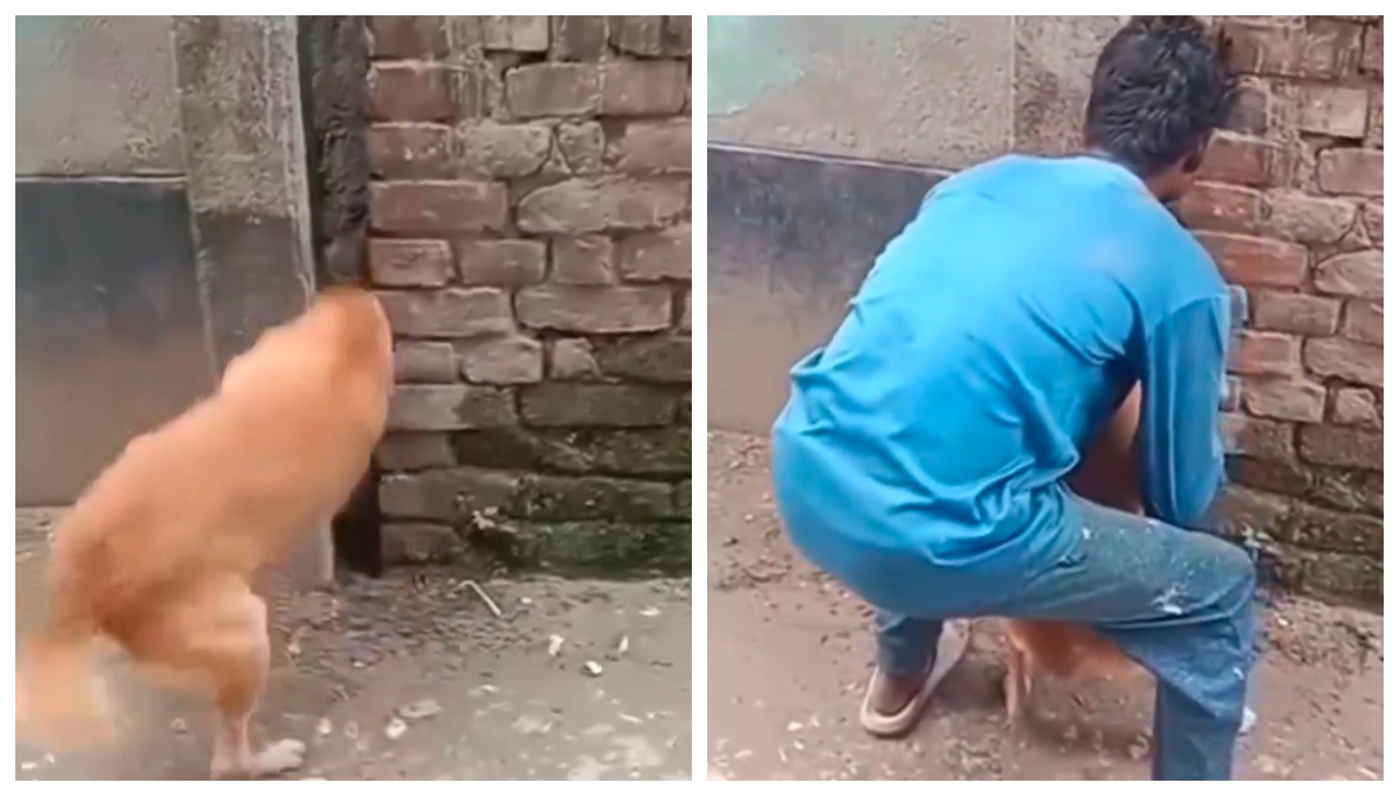 “காப்பாத்த யாராவது வரமாட்டாங்க…?”‌ உயிரைக் கையில் பிடித்துக்கொண்டு அலறிய  ஜீவன்….  துணிச்சலாகக் காப்பாற்றிய இளைஞர்களின் வைரல் மீட்பு வீடியோ….!!