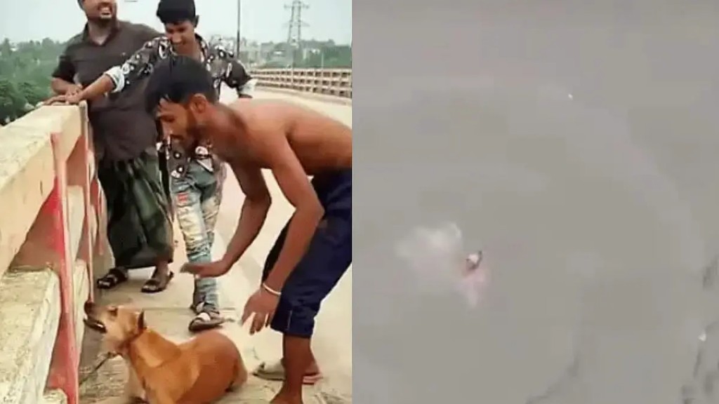 நெஞ்சில் ஈரமே இல்லையா..? “உயிரோடு இருந்த நாயை கல்லை கட்டி ஆற்றில் வீசிய கொடூர வாலிபர்”… வாயில்லா ஜீவனுக்கு நடந்த கொடூரம்… பகீர் வீடியோ..!