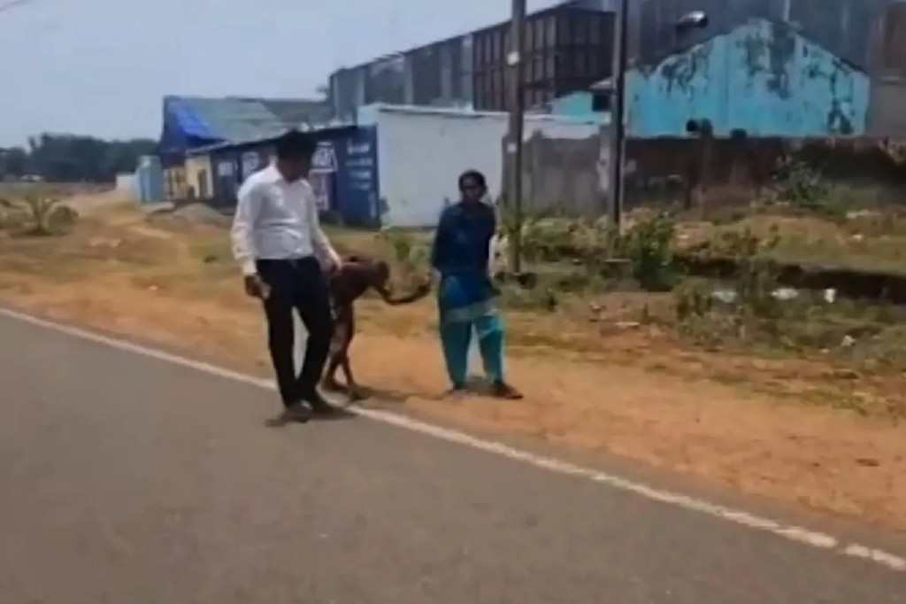 ஒரு அரசு அதிகாரின்னா இப்படித்தான் இருக்கணும்…! 3 கி.மீ தூரம்… கொளுத்தும் வெயிலில் நடந்த மூதாட்டி… காரை விட்டு இறங்கி ஓடோடி வந்த அதிகாரி… அடுத்து நடந்ததுதான் ஹைலைட்… வீடியோ வைரல்..!!