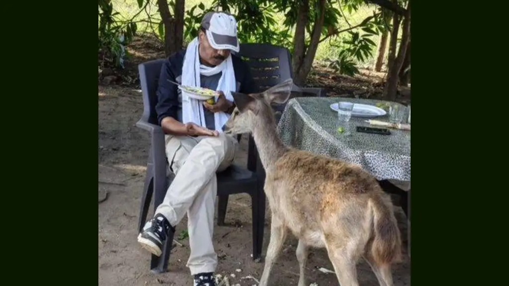 அது காட்டு மானா இல்ல செல்ல நாயா..? “தடவிக் கொடுத்து தட்டில் வைத்து அவள் ஊட்டிய வன ஊழியர்”… வீடியோ வைரலானதால் டென்ஷனான வனத்துறை… பின்னணி என்ன…??
