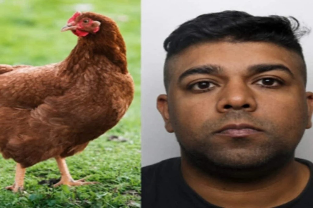 இவன் மனுசனா இல்ல மிருகமா…? “கோழிகளை பலாத்காரம் செய்த கணவன்”… ரசித்து வீடியோ எடுத்து மகிழ்ந்த மனைவி… நடுங்க வைக்கும் பயங்கரம்.!!