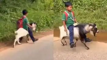 “டேய், அந்த தம்பி இறக்குன புது வண்டிய பாத்தியா?” ஸ்கூலுக்குப் போக இந்தச் சிறுவன் செஞ்ச அலப்பறையைப் பாருங்க.. இணையத்தில் வைரலாகும் வீடியோ..!!”
