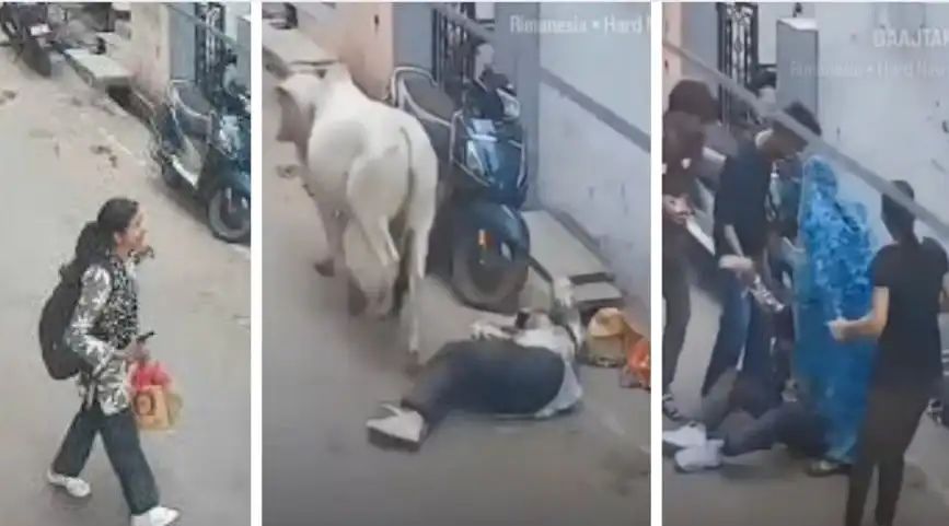 “தெருவுல நடக்கவே பயமா இருக்கு!” புகார் கொடுத்தும் கண்டுக்காத நகராட்சி.. நடுரோட்டுல பெண்ணை முட்டிய காளையால மக்கள் பீதி.. வைரல் வீடியோ..!!”