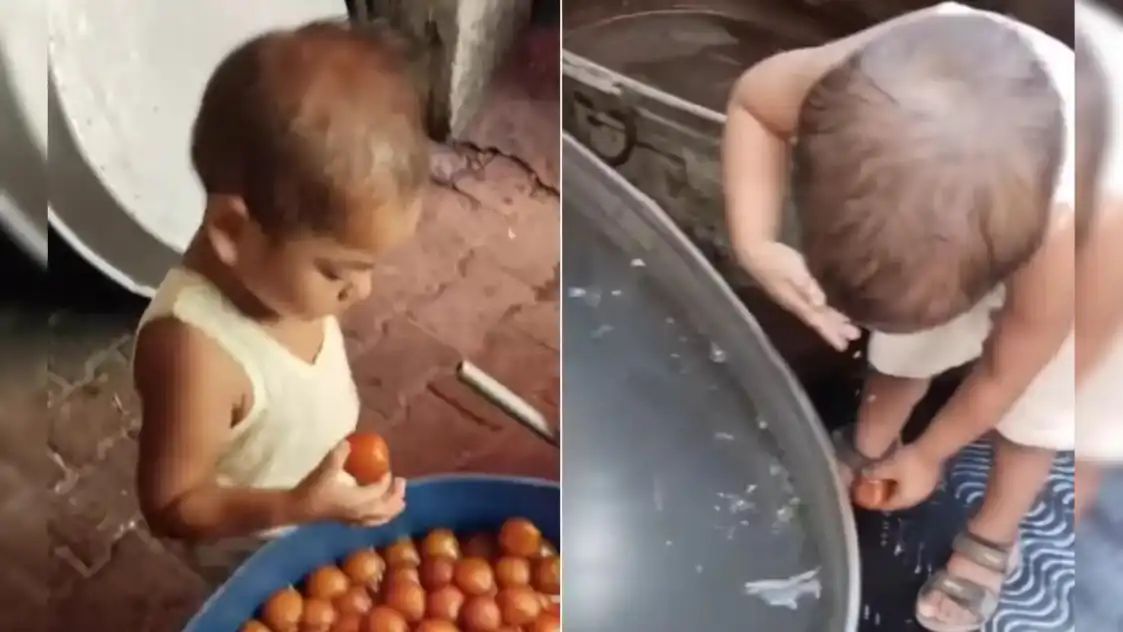 “குலாப் ஜாமுனைத் தண்ணியில கழுவுற குழந்தையைப் பார்த்திருக்கீங்களா?” அம்மாவின் பாடத்தை ரொம்பவே சீரியஸா எடுத்துக்கிட்ட சிறுவன்.. வைரல் வீடியோ..!!