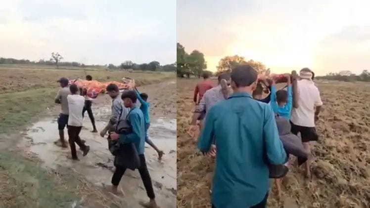 ஆம்புலன்ஸ் இல்லை ரோடும் போடல..! சுகாதாரத்துறை அமைச்சரின் சொந்த மாவட்டத்திலேயே இப்படியா..? கட்டிலில் சுமந்து செல்லப்பட்ட பழங்குடியின பெண் மரணம்.. அதிர்ச்சி வீடியோ..!