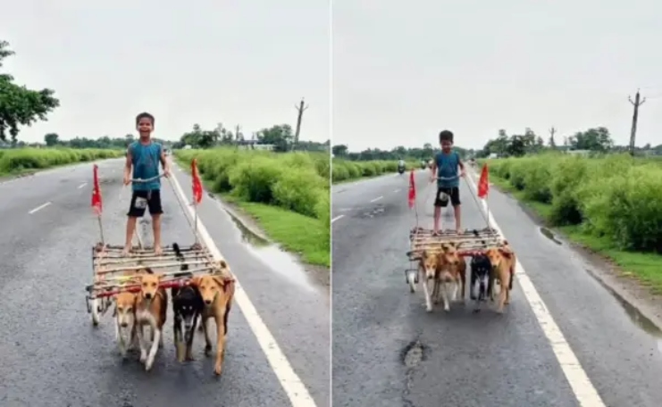 “குதிரை வண்டி பார்த்திருக்கோம்.. அது என்னப்பா?”.. ரோட்டையே திரும்பிப் பார்க்க வைத்த சிறுவனின் செயல்.. வைரலாகும் கலக்கல் வீடியோ..!!