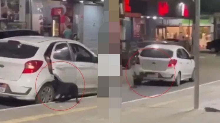 காரில் வந்து நடுரோட்டில் வீசப்பட்ட பாசம்…! “ஆசை ஆசையா வளர்த்துட்டு ஏன் இந்த வெறி”… விசுவாசத்திற்கு கிடைத்த பரிசா..? வாயில்லா ஜீவனின் போராட்டம்… அதிர்ச்சி வீடியோ…!!!