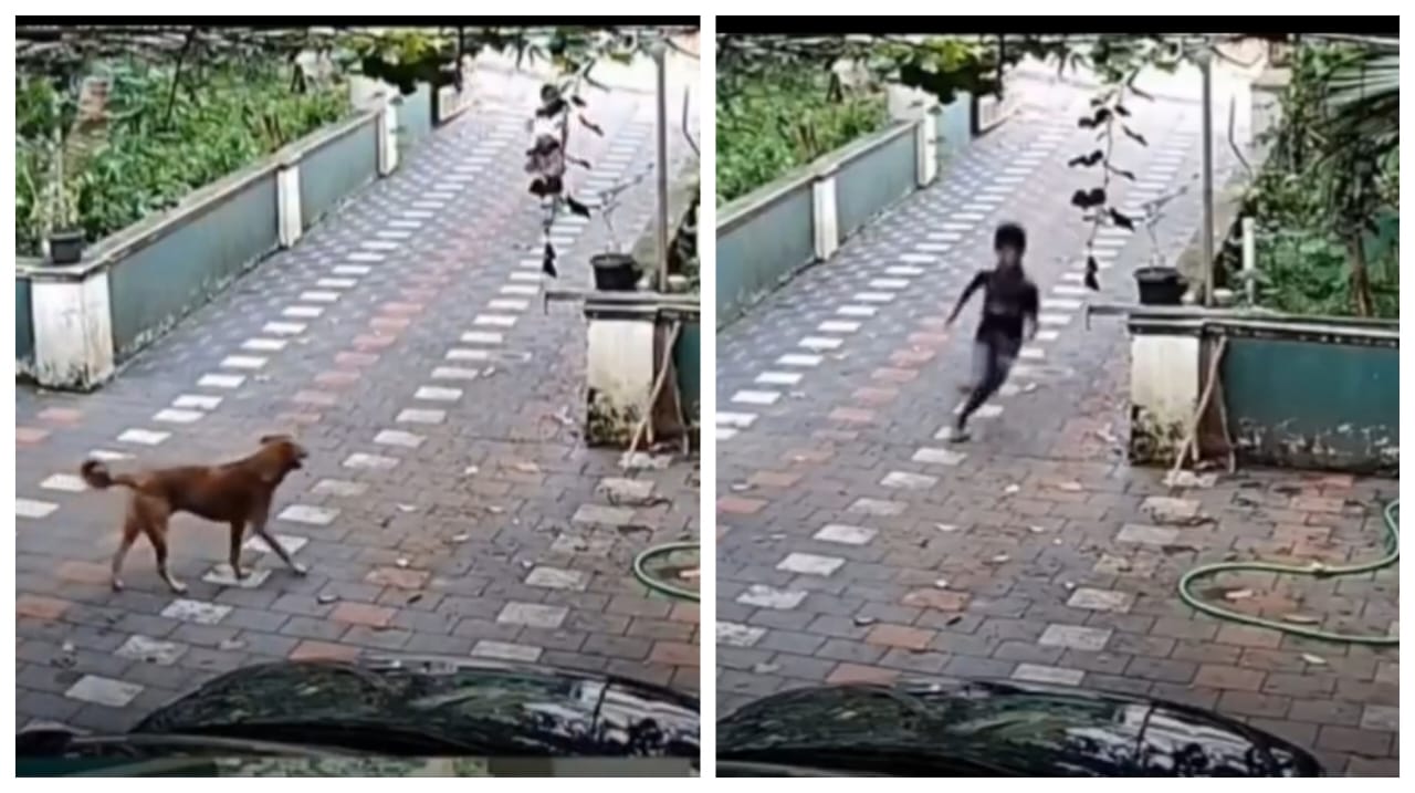 கடித்து குதற வந்த தெரு நாய்… அலறி அடித்து ஓடிய சிறுமி.. அடுத்து நடந்தது தான் டுவிஸ்ட்… பாகுபலி யாய் மாறி ஓட ஓட விரட்டிய சிறுவன்… வைரலாகும் வீடியோ…!!