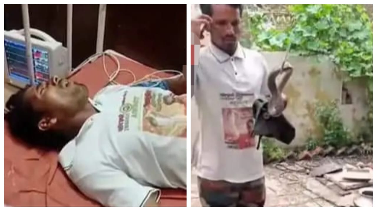 அது நல்ல பாம்புடா..! “ஃபர்ஸ்ட் டே புடிச்சுட்டாரு”… ஆனா பையில் அடைக்காமல் கையில் போனோடு அசால்ட்டாக நின்ற பாம்பு பிடி வீரர்… அடுத்து நடந்த பயங்கரம்… பகீர் வீடியோ…!