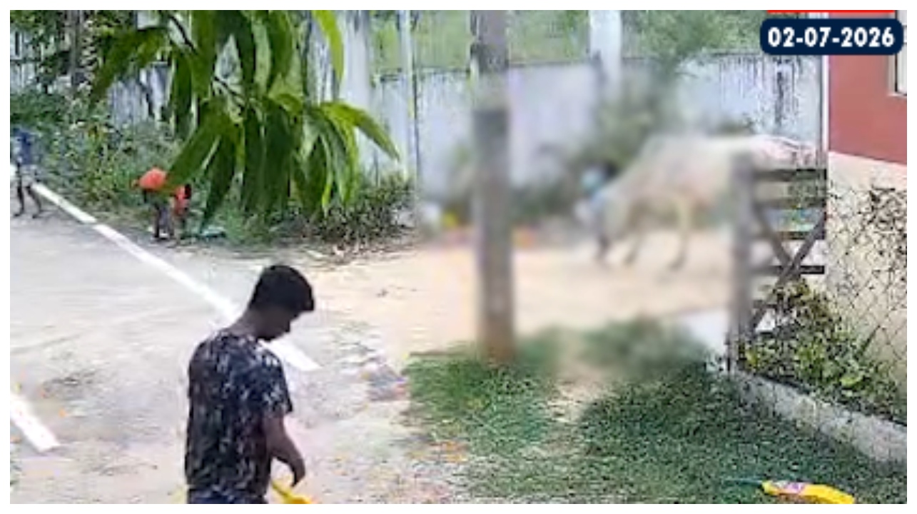 “ஐயோ அம்மா காப்பாத்துங்க..” விளையாடிக் கொண்டிருந்த சிறுமியை கொம்பால் குத்தி காற்றில் பறக்கவிட்ட மாடு.. அதிரடி ஆக்ஷனில் இறங்கிய அதிகாரிகள்..!!!