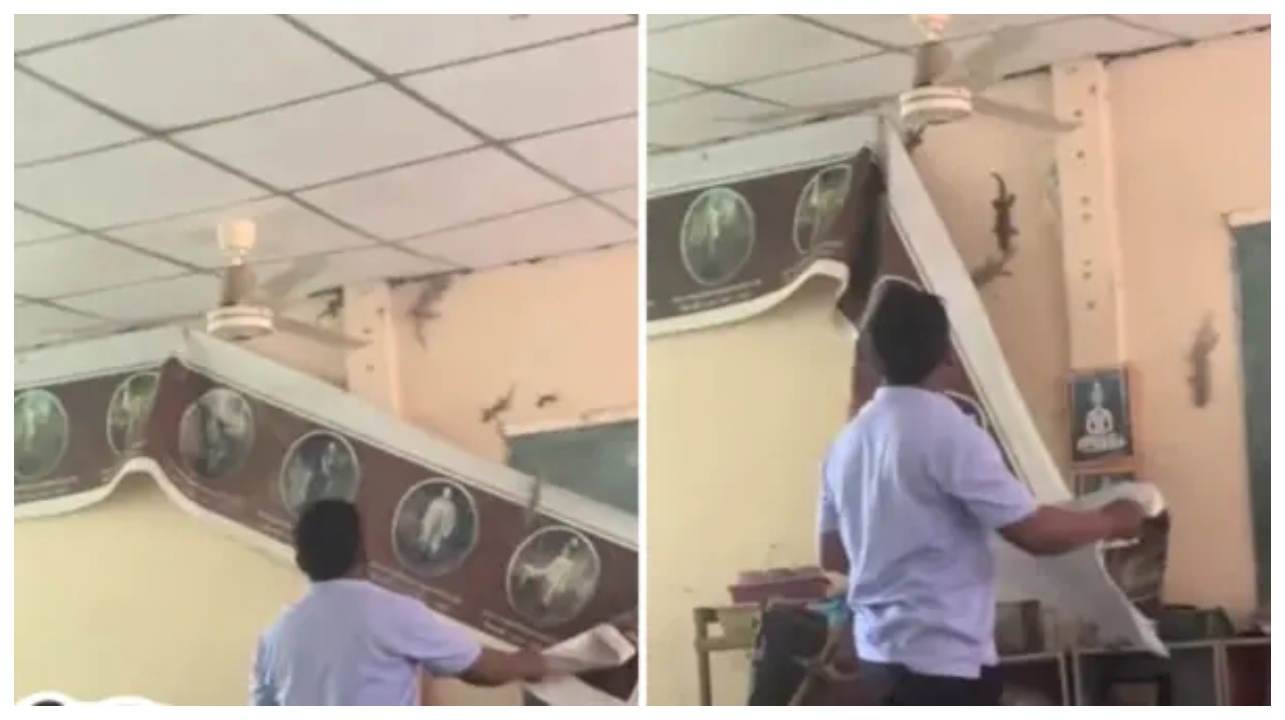 “உடம்பெல்லாம் கூசுதுபா.. கண்ணிமைக்கும் நேரத்தில் சுவரில் ஊர்ந்த அந்தப் பட்டாளம்”… நெஞ்சு பதற வைக்கும் நிமிடம்..  சோஷியல் மீடியாவை அதிர வைத்த அந்த 10 நொடிகள்..!!!