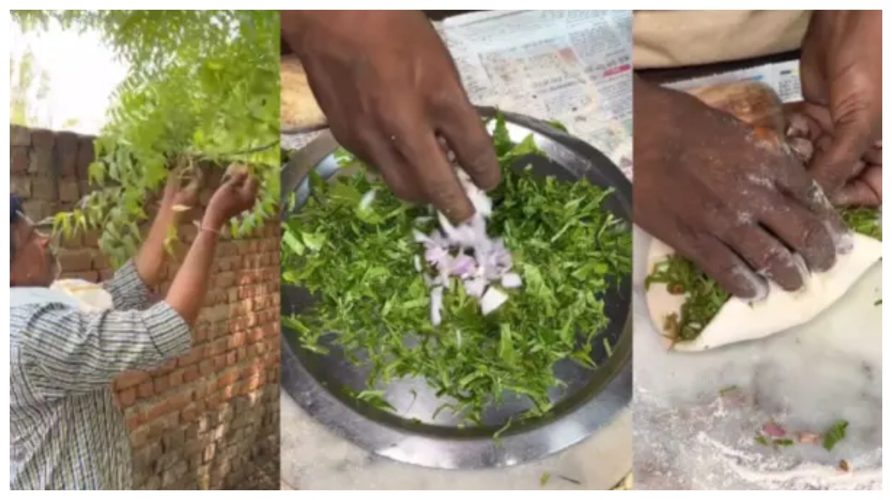 “என்னது… வேப்பிலையில பராட்டாவா?… நெட்டிசன்களை வாந்தியெடுக்க வைத்த விசித்திர உணவு.. வைரலாகும் தெருவோரக் கடையின் விசித்திர வீடியோ..!!!