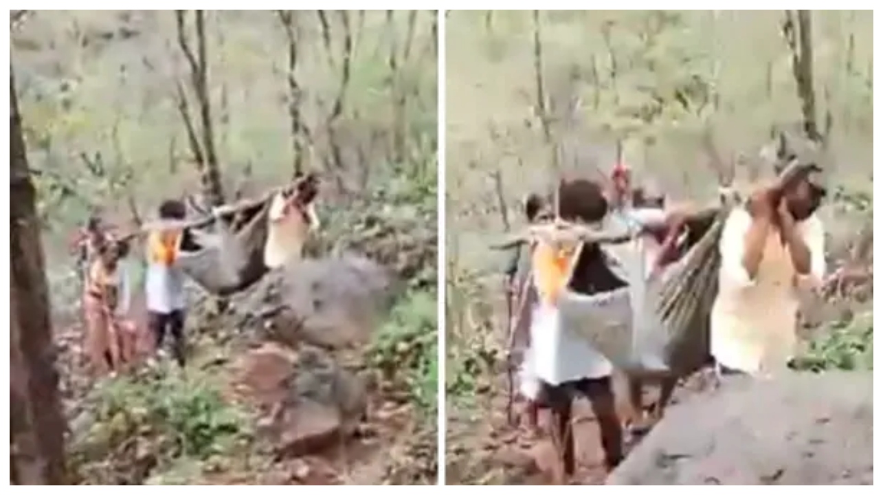 மகா கொடுமை!.. மும்பை அருகே துடிதுடித்த கர்ப்பிணி.. டோலி கட்டி தூக்கிச் சென்ற அவலம்!.. இணையத்தை உலுக்கும் வைரல் வீடியோவின் பின்னணி..!!!