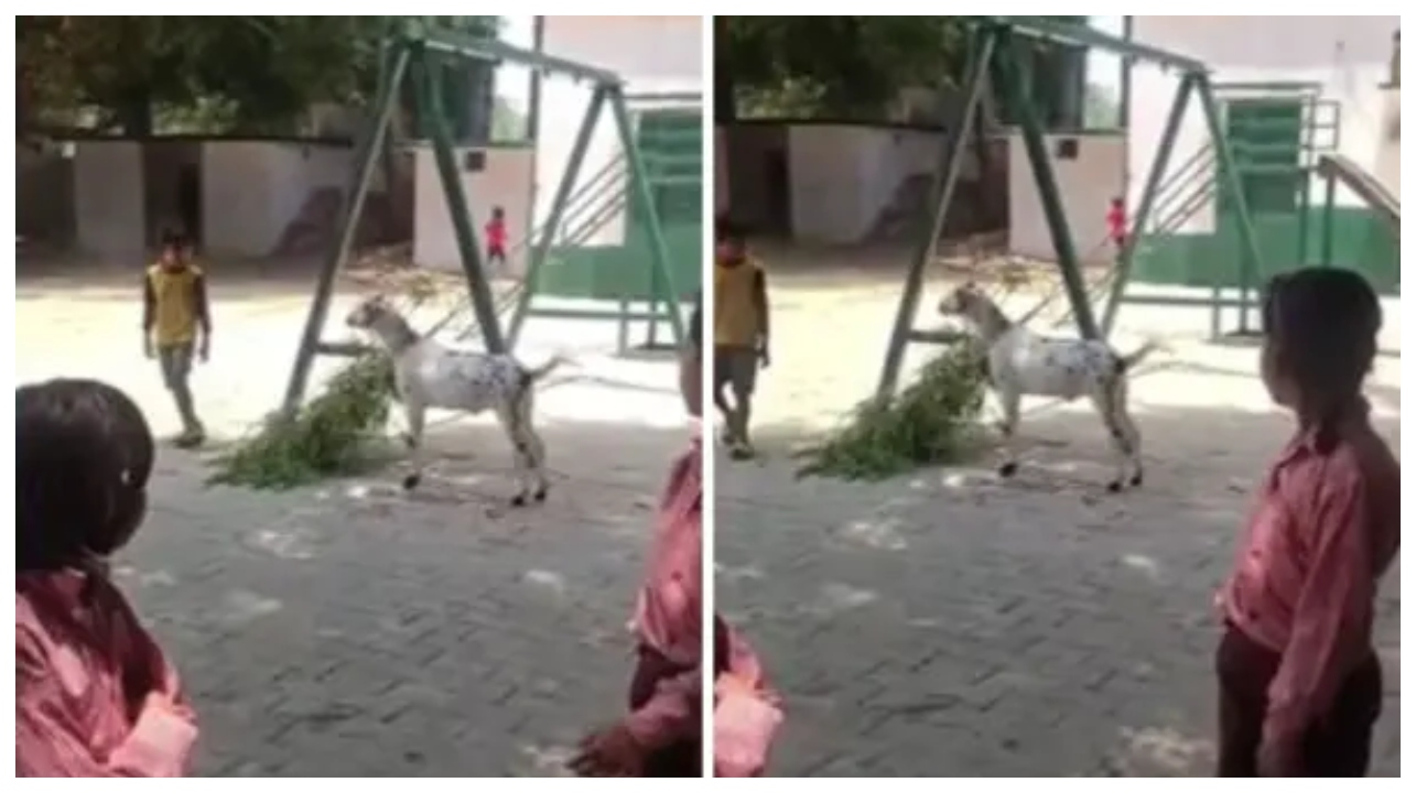 பள்ளியா? இல்லை மாட்டுத் தொழுவமா?.. “சொந்த ஆட்டிற்குப் புல் வெட்ட மாணவர்களை ஏவிய தலைமை ஆசிரியை”.. ஊர் மக்கள் கொடுத்த புகாரால் ஒரே இரவில் சஸ்பெண்ட் ஆன விபரீதம்..!!!