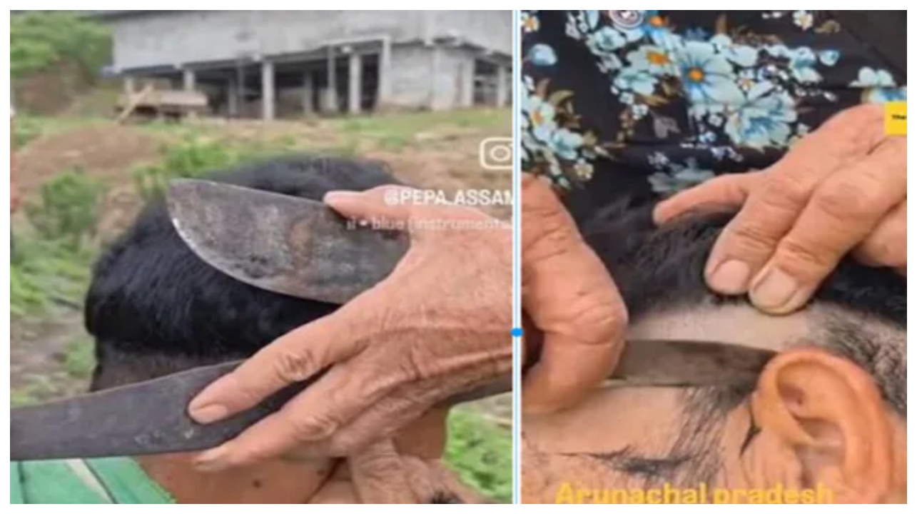 “பழங்கால ரகசியம் அம்பலமானது!”… கத்தரிக்கோல் இல்லை.. ட்ரிம்மர் இல்லை.. கையில் ராட்சத கத்தி! – பாட்டியின் ‘மரண மாஸ்’ ஹேர்கட் வீடியோ வைரல்..!!!