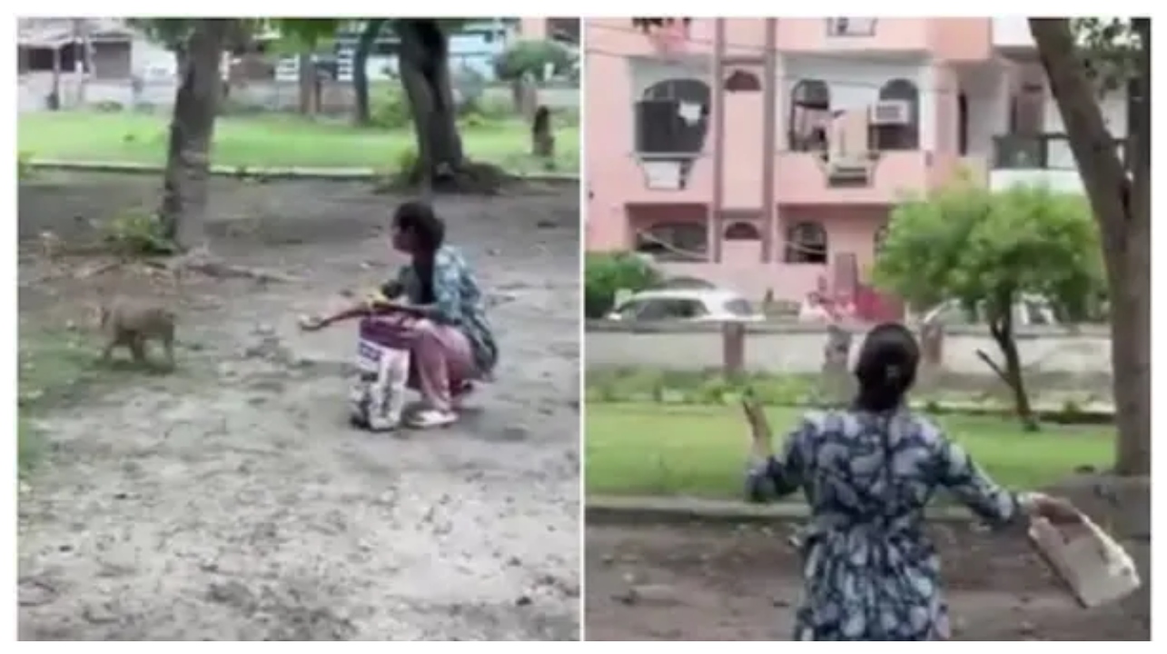 “உணவு அளிக்காதீர்கள்!”.. குரங்குகளுக்கு உணவளித்ததால் பக்கத்து வீட்டுக்காரர்களுடன் வெடித்த பெண்மணியின் காரசாரமான மோதல் – வைரலாகும் வீடியோ..!!!