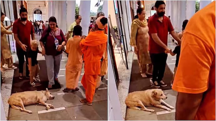 சின்ன வயசுலயே சொல்லிக் கொடுக்கணும்..! வாயில்லா ஜீவன் மீது கல்லை தூக்கி எறிந்த சிறுவன்.. பெற்றோர் வளர்ப்பு மீது சாடும் இணையம்… அதிர்ச்சி வீடியோ…!!