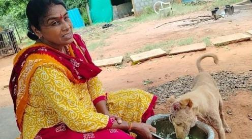 என்னோட 2 மகன்களும் போயிட்டாங்க..! பெற்ற பிள்ளைகளை பறிகொடுத்த சோகத்தில் 240 தெருநாய்களுக்கு தாயான பெண்… தினசரி காலையிலும், மாலையிலும்… உருக வைக்கும் சம்பவம்..!