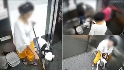 “ஐயோனு அலறிய 3 சிறுமிகள்….!” லிஃப்டுக்குள் ஆக்ரோஷமாகப் பாய்ந்த செல்ல நாய்….  அடுக்குமாடிக் குடியிருப்பில் நேர்ந்த விபரீதம்…. உரிமையாளர் செய்த செயல்…‌. அதிர வைக்கும் சிசிடிவி காட்சிகள்….!!