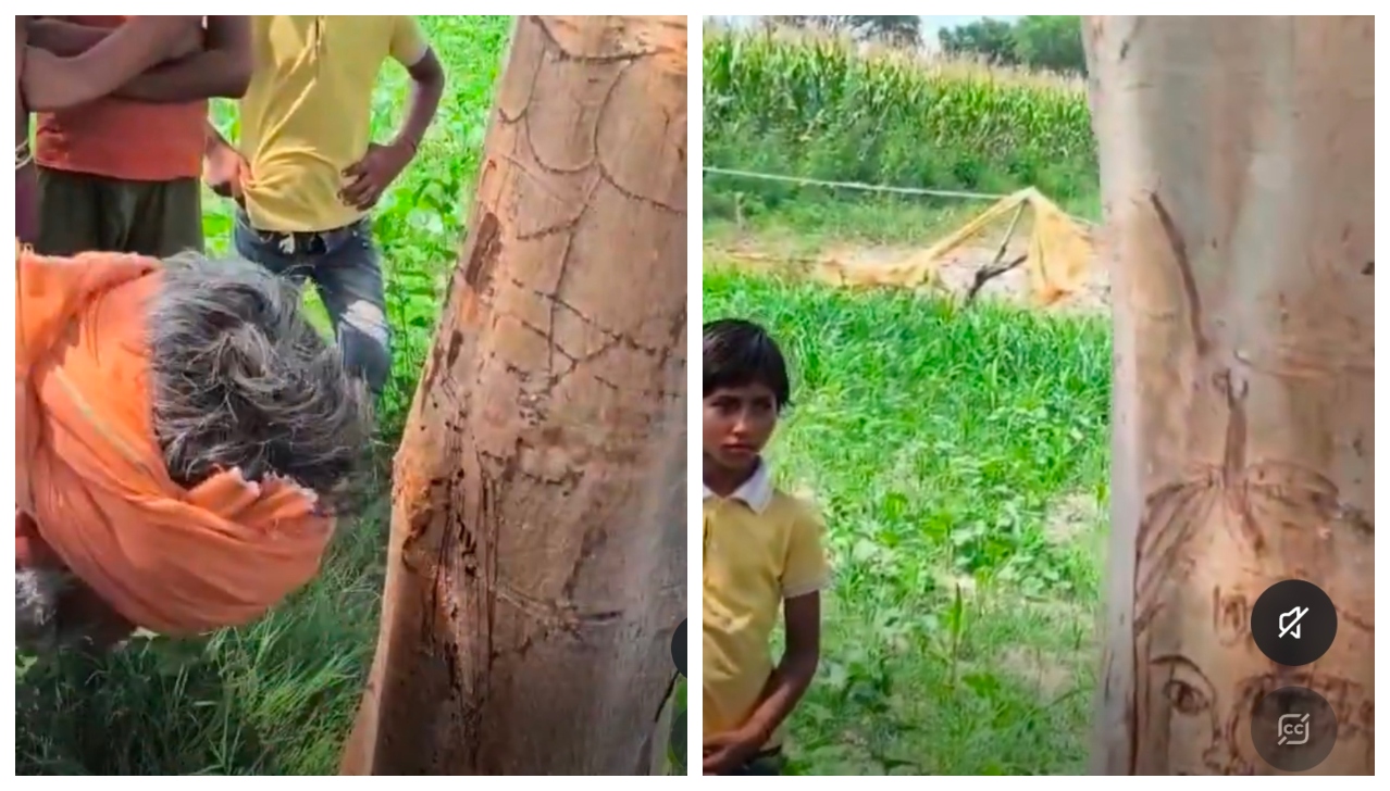 “மக்கள் கூட்டமே அலறுகிறது..!” “உண்மையிலேயே ஸ்ரீகிருஷ்ணர் தோன்றிவிட்டாரா..?” மரத்தில் தொங்கும் சிலை…. குவியும் பக்தர்கள்… அப்பகுதியில் நடப்பது என்ன…??