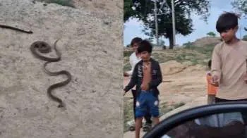 சாவுக்கே சவால் விட்ட சிறுவர்கள்..! “பொம்மை போல நூலில் கட்டி உயிரோடு பாம்பை இழுத்துட்டு போன குழந்தைகள்”… தூக்கிப்போட்டு வேற விளையாடுறாங்க… நடுங்க வைக்கும் காணொளி..!