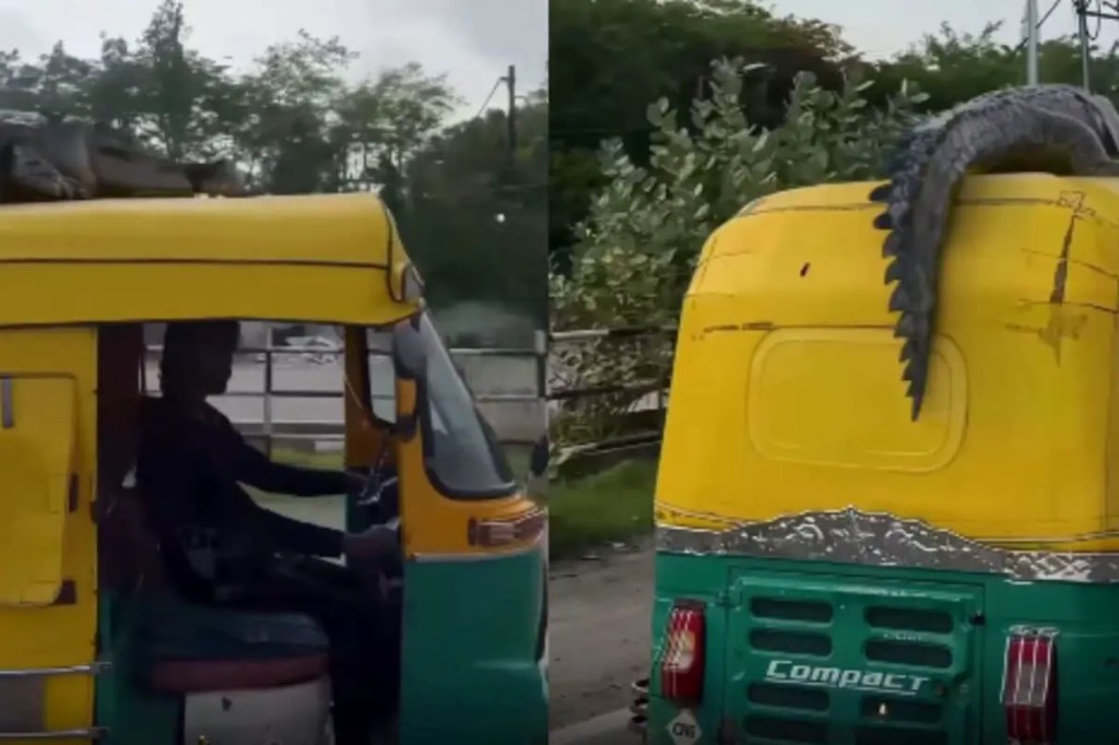 கீழ ஆட்டோ..! ஆனா கொஞ்சம் மேல நிமிந்து பாருங்க… வீடியோ எடுத்தவரே நடுங்கி போயிட்டாரு.. நடு ரோட்டில் நீர் அசுரன்.. இணையத்தை நடுங்க வைத்த முதலை.!