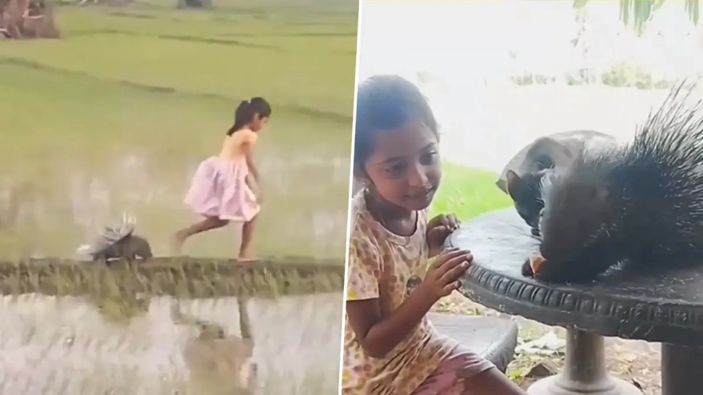 நிஜ உலக டிஸ்னி…! “வாலாட்டிக்கொண்டே பின்னால் சென்ற முள்ளம்பன்றி”.. கைகளில் புனுகு பூனை”… வனவிலங்குகளுடன் ஜாலியாக வலம் வரும் இலங்கை இளவரசி..!!